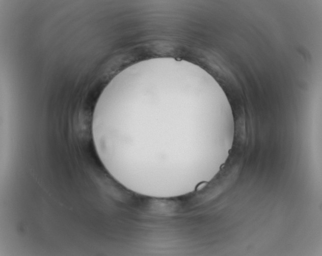 X0000113870234200910221341