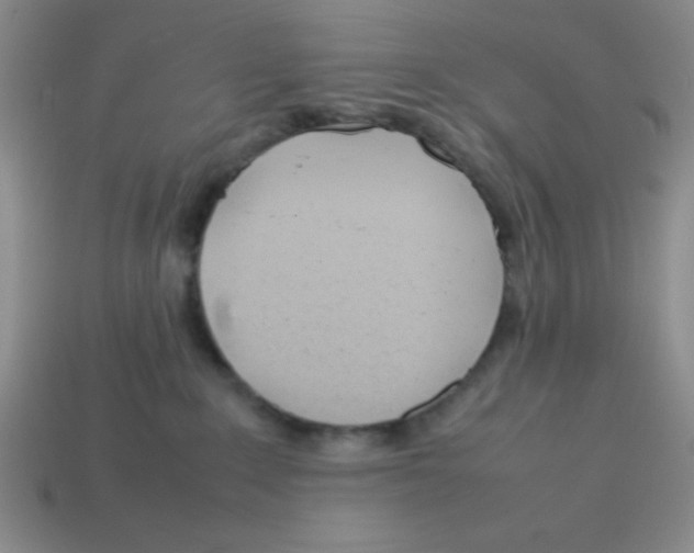 X0000113870235200910221341