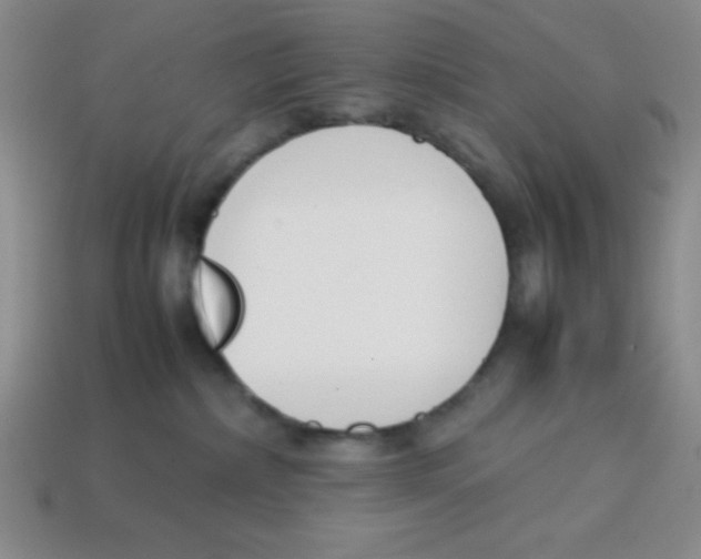 X0000113870236200910221341