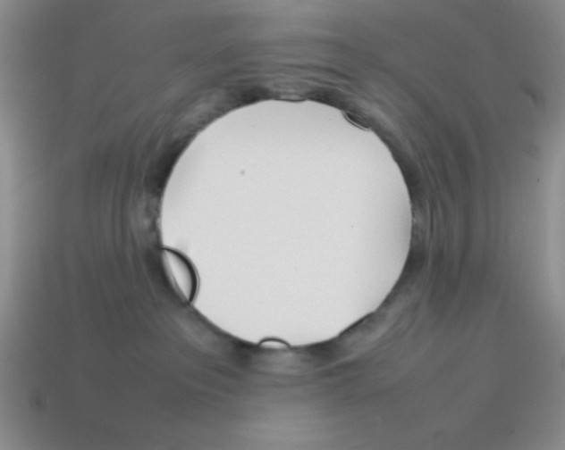 X0000113870237200910221341