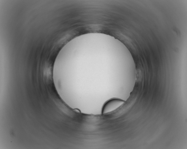 X0000113870238200910221341