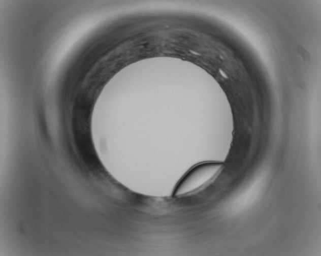 X0000113870239200910221341