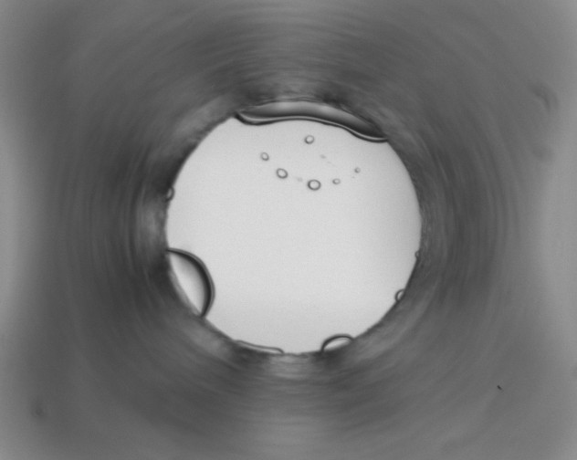 X0000113870240200910221341