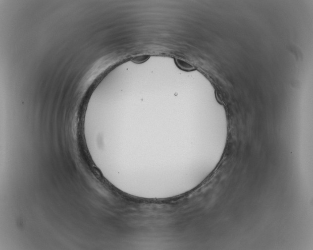 X0000113870242200910221341