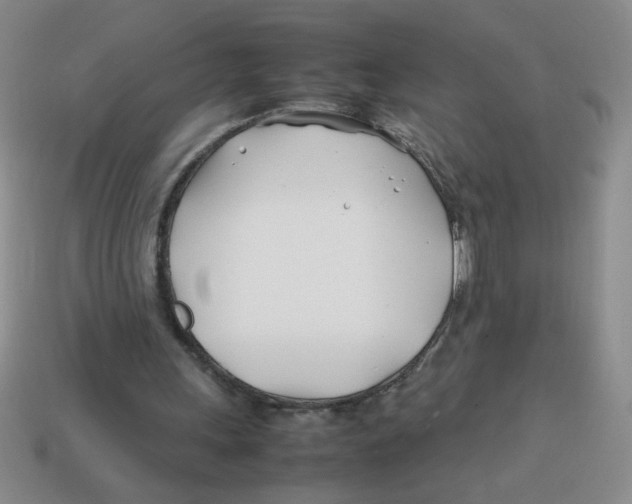 X0000113870243200910221341