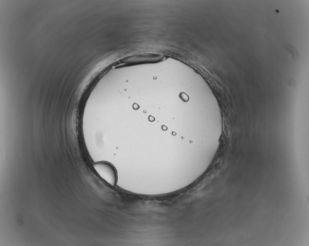 X0000113870244200910221341