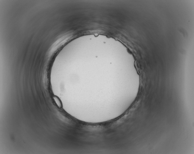 X0000113870245200910221341