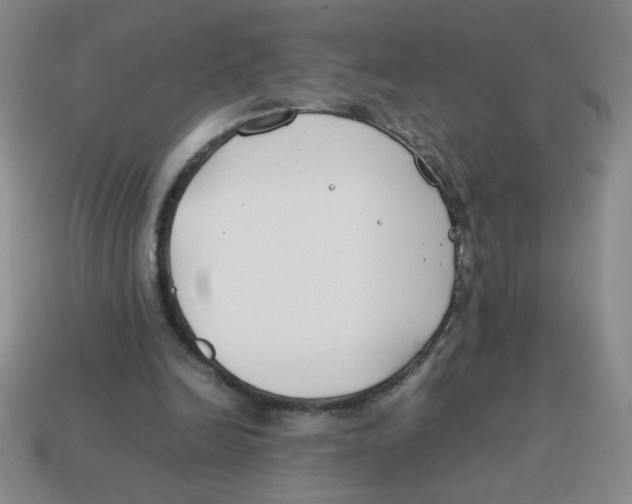 X0000113870246200910221341