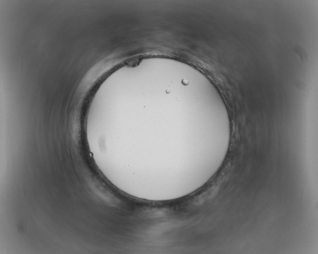 X0000113870247200910221341