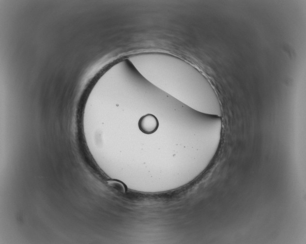 X0000113870248200910221341