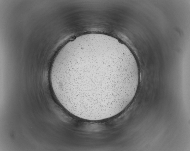 X0000113870249200910221341