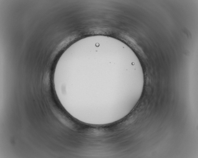 X0000113870250200910221341