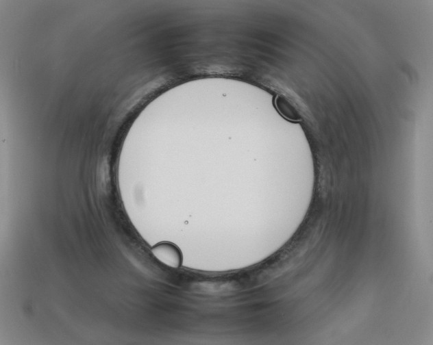 X0000113870251200910221341