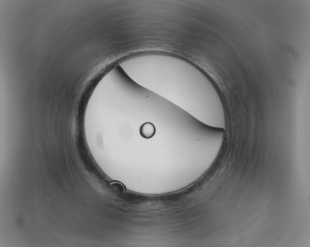 X0000113870252200910221341