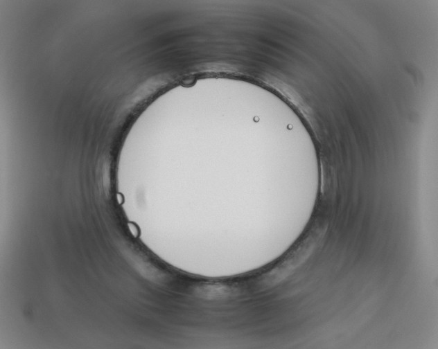 X0000113870253200910221341