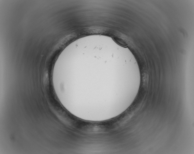 X0000113870254200910221341