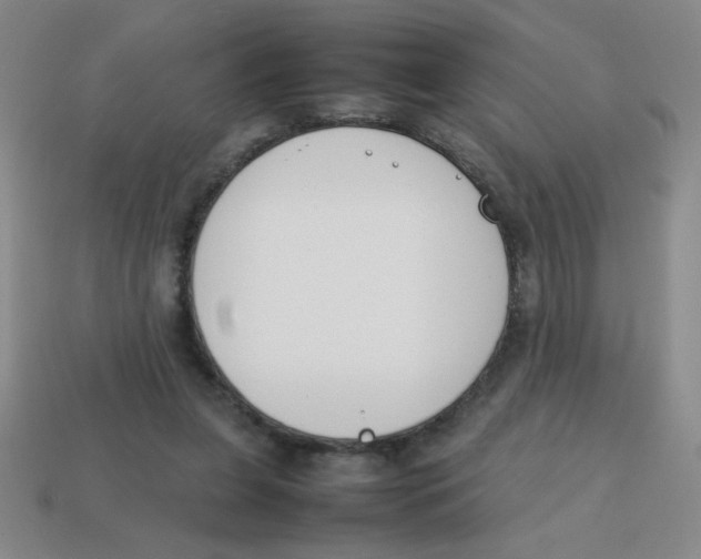 X0000113870255200910221341
