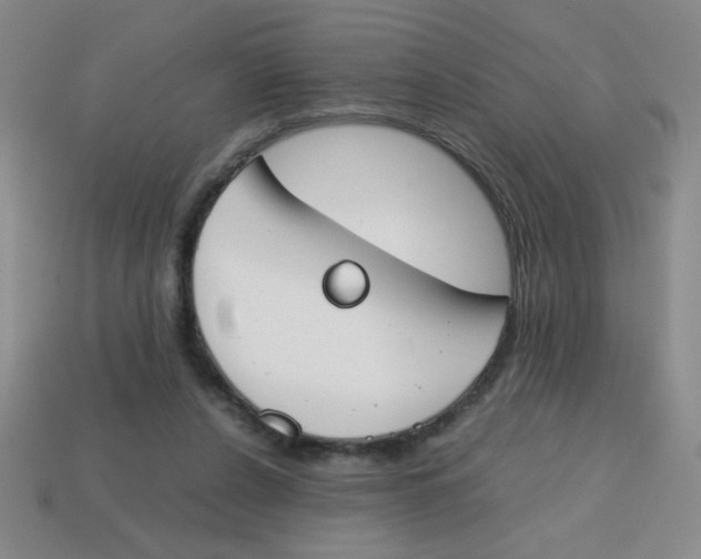 X0000113870256200910221341