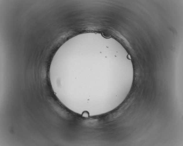 X0000113870257200910221341