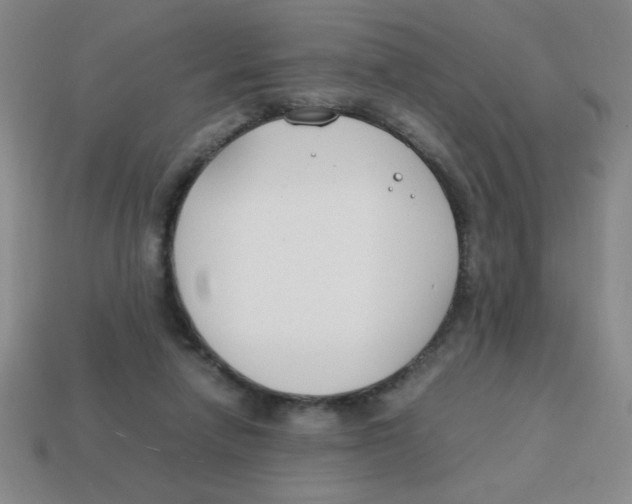 X0000113870258200910221341