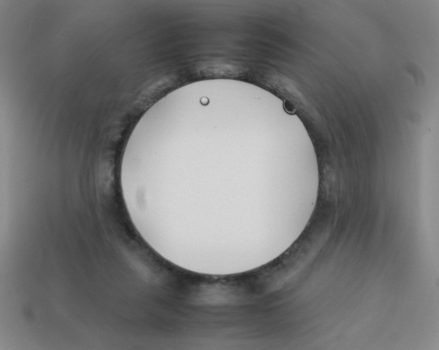 X0000113870259200910221341