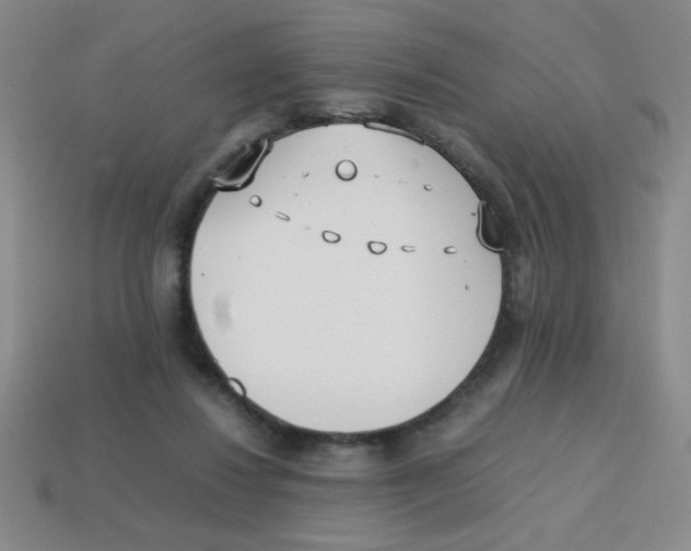 X0000113870260200910221341
