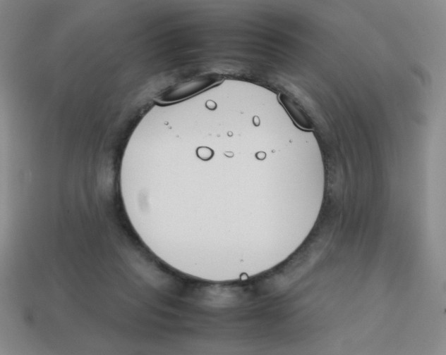 X0000113870261200910221341