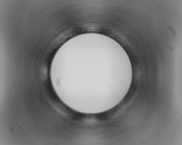 X0000113870262200910221341