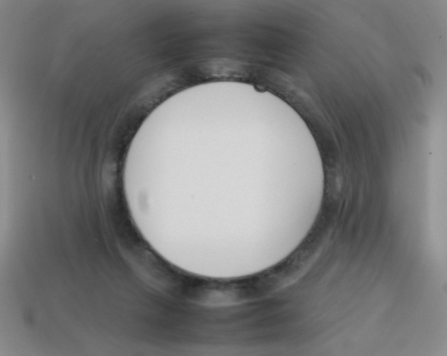 X0000113870263200910221341