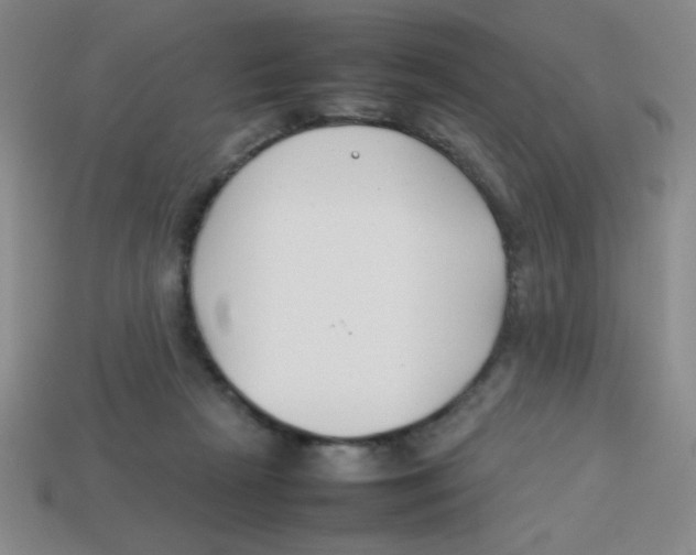 X0000113870265200910221341