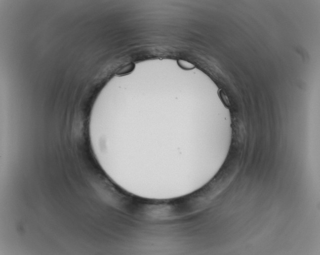 X0000113870266200910221341