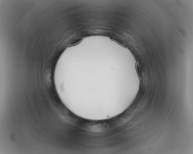 X0000113870267200910221341