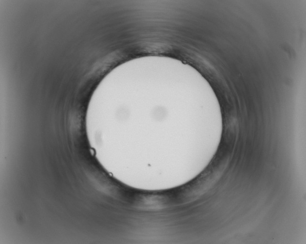 X0000113870268200910221341