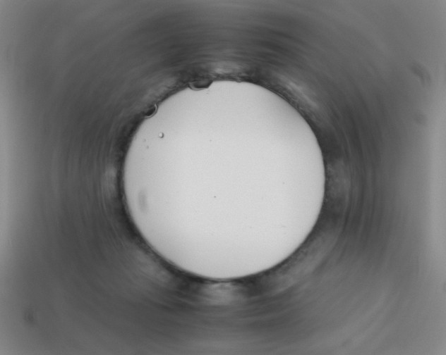 X0000113870269200910221341