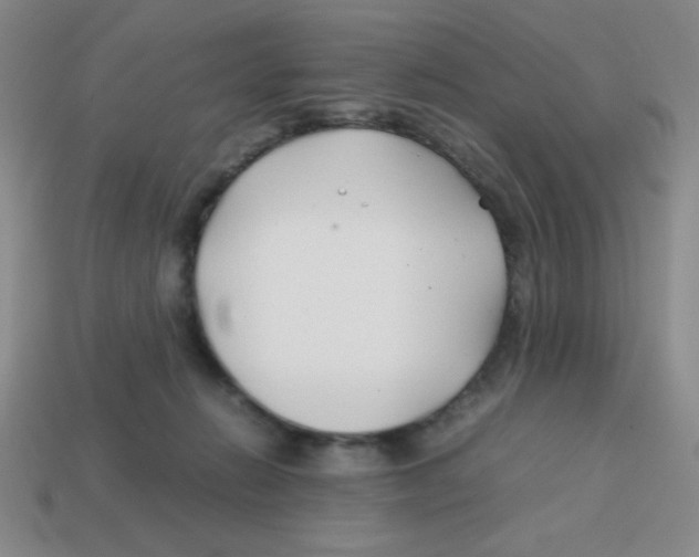 X0000113870270200910221341