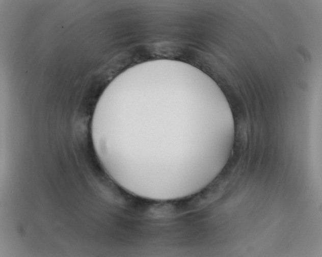 X0000113870271200910221341