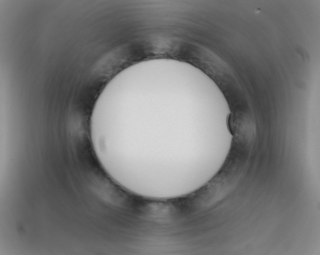 X0000113870272200910221341