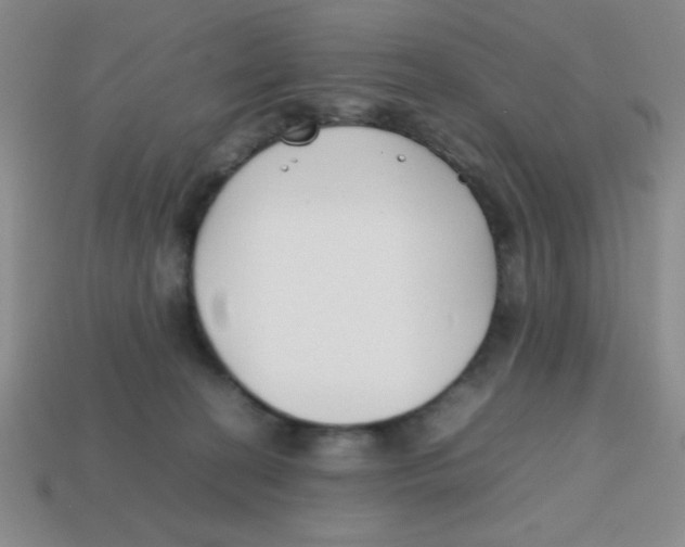 X0000113870274200910221341