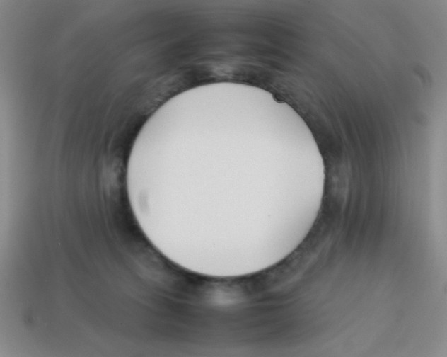 X0000113870275200910221341