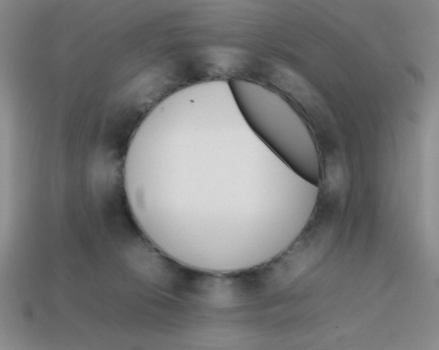 X0000113870276200910221341
