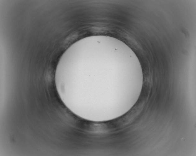 X0000113870277200910221341