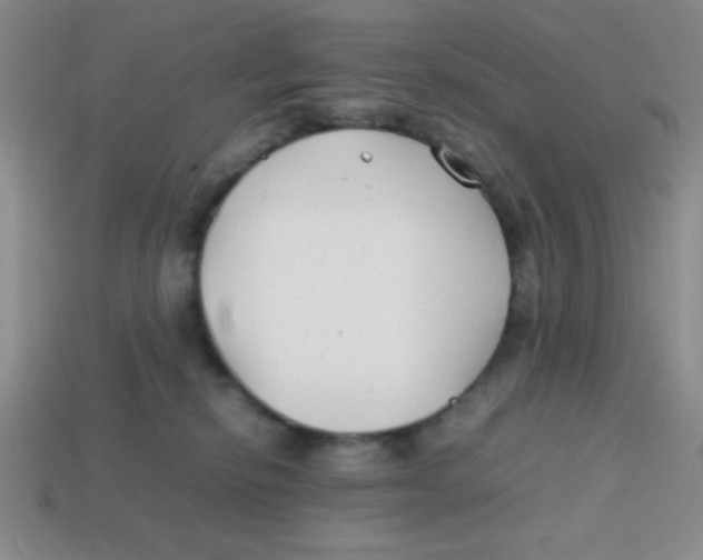 X0000113870278200910221341