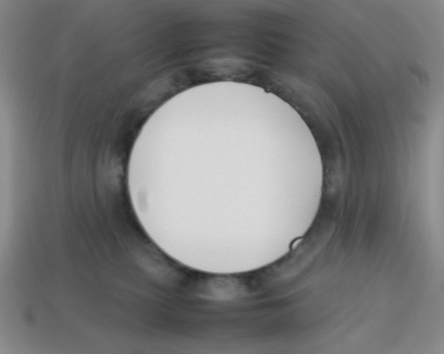 X0000113870279200910221341