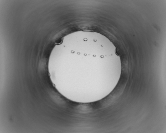 X0000113870280200910221341