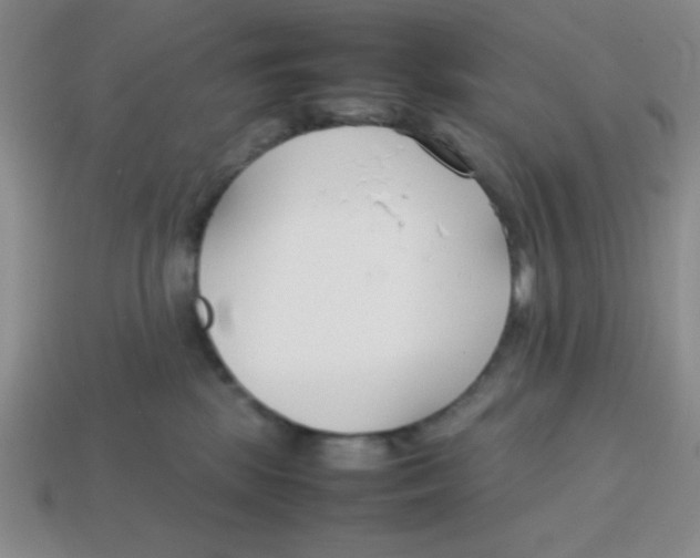 X0000113870281200910221341