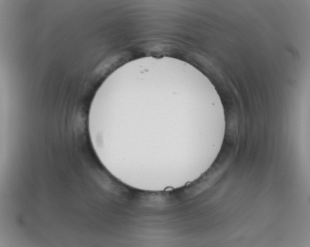 X0000113870282200910221341