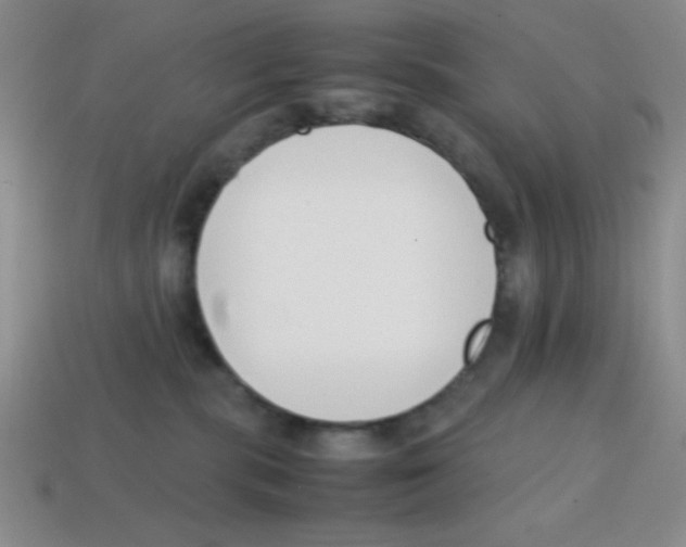 X0000113870283200910221341