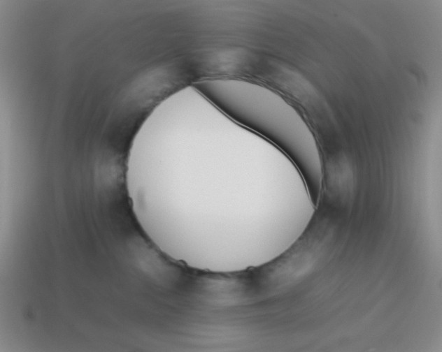 X0000113870284200910221341