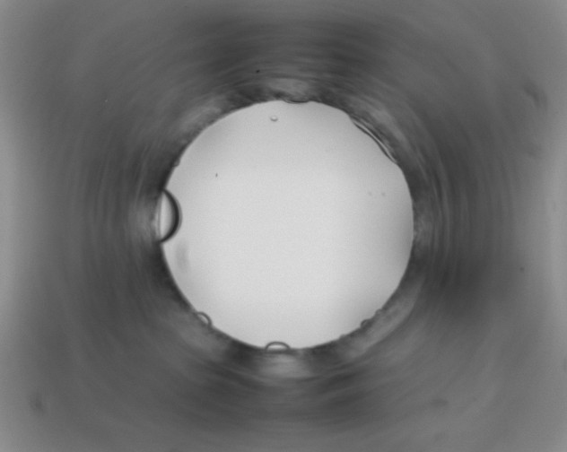 X0000113870285200910221341