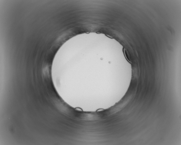 X0000113870286200910221341